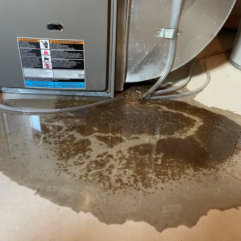 Appliance Leak Cleanup in Chewelah, WA