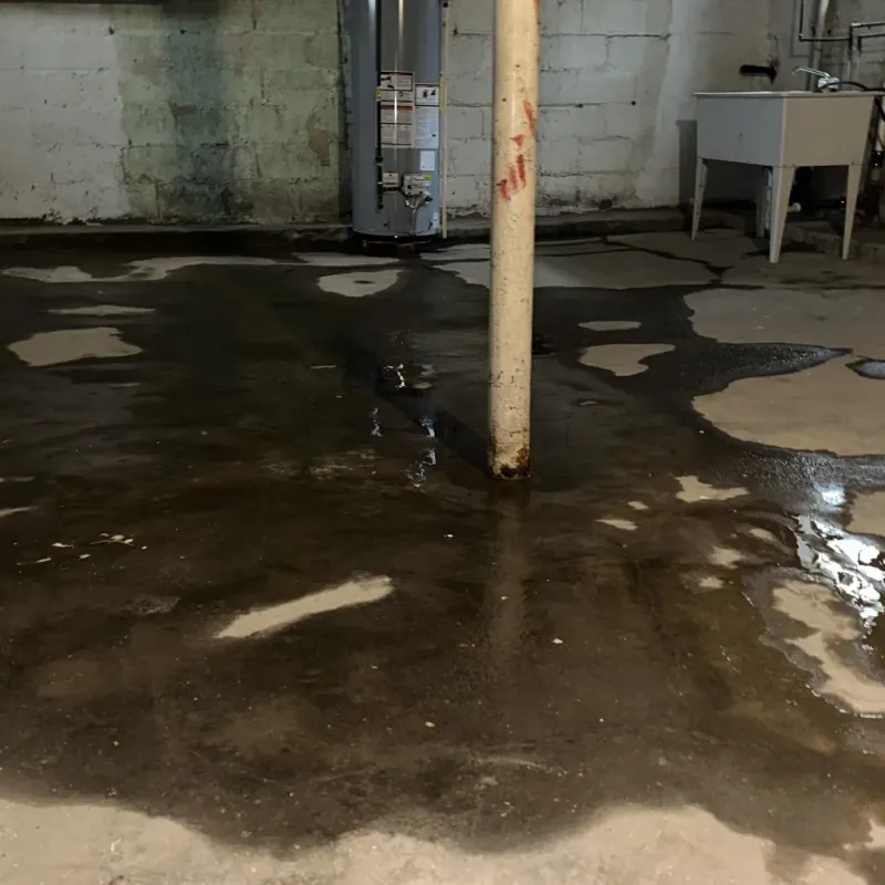 Emergency Water Extraction And Removal in Chewelah, WA